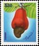 Colnect-4411-202-Cashew.jpg