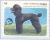 Colnect-2518-315-Poodle.jpg