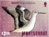 Colnect-3706-320-Willet.jpg