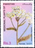 Colnect-2160-319-Yarrow.jpg