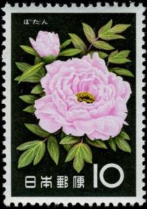 Colnect-5526-377-Peony.jpg