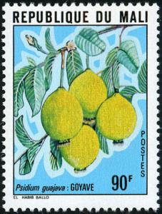 Colnect-2000-325-Guavas.jpg