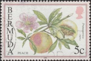 Colnect-2300-339-Peach.jpg