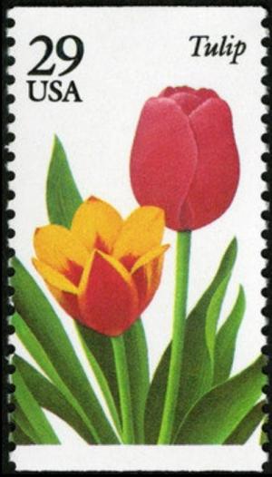 Colnect-3495-334-Tulip.jpg