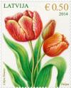 Colnect-2129-486-Tulip.jpg