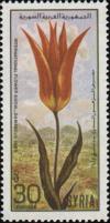 Colnect-2209-464-Tulips.jpg