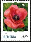 Colnect-6351-439-Poppy.jpg