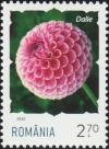 Colnect-6596-452-Dahlia.jpg