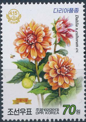 Colnect-3266-424-Dahlia.jpg