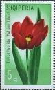 Colnect-1288-468-Tulip.jpg