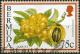 Colnect-2598-428-Loquat.jpg