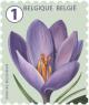 Colnect-3601-439-Crocus.jpg