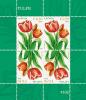 Colnect-2129-487-Tulip.jpg