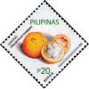 Colnect-2700-531-Santol.jpg