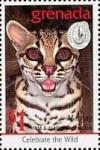 Colnect-4569-538-Margay.jpg