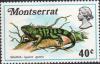 Colnect-6193-572-Iguana.jpg