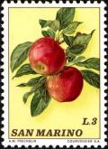 Colnect-1685-546-Apples.jpg