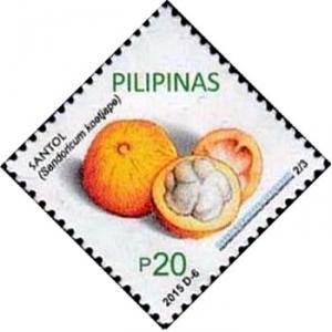 Colnect-2700-531-Santol.jpg