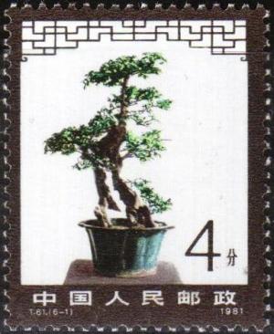 Colnect-3708-509-Bonsai.jpg