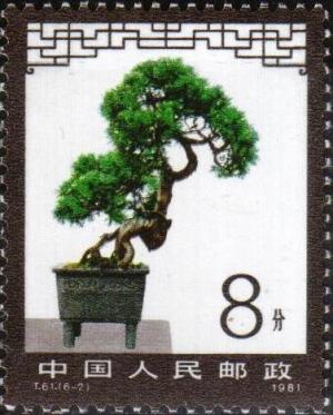 Colnect-3708-510-Bonsai.jpg