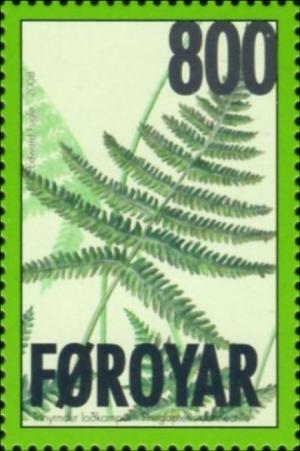 Colnect-4259-563-Ferns.jpg