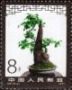 Colnect-3708-511-Bonsai.jpg