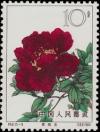 Colnect-485-642-Peony.jpg