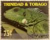 Colnect-5035-682-Iguana.jpg