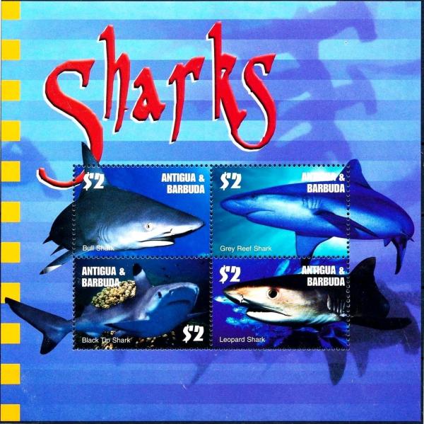 Colnect-3397-654-Sharks.jpg