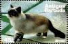 Colnect-4116-749-Birman.jpg