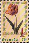 Colnect-4592-776-Tulip.jpg