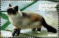 Colnect-4116-749-Birman.jpg