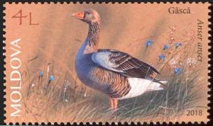 Colnect-5161-768-Goose.jpg