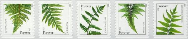 Colnect-4226-742-Ferns.jpg