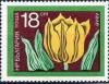 Colnect-1695-844-Tulip.jpg