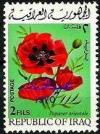 Colnect-1954-863-Poppy.jpg