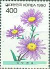 Colnect-2770-809-Aster.jpg