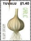 Colnect-6344-802-Garlic.jpg