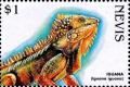 Colnect-3544-820-Iguana.jpg