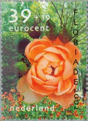 Colnect-182-834-Rose.jpg