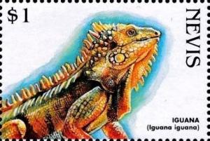 Colnect-3544-820-Iguana.jpg