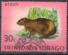 Colnect-1106-914-Agouti.jpg