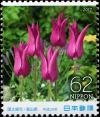 Colnect-5461-978-Tulips.jpg