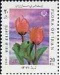 Colnect-447-982-Tulip.jpg