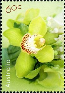 Colnect-1916-958-Orchid.jpg