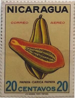 Colnect-3704-925-Papaya.jpg