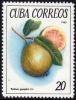 Colnect-1621-926-Guavas.jpg