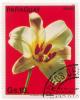 Colnect-2234-956-Lilium.jpg