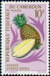 Colnect-1023-948-Ananas-comosus.jpg