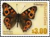 Colnect-2026-396-Meadow-Argus-Junonia-villida.jpg